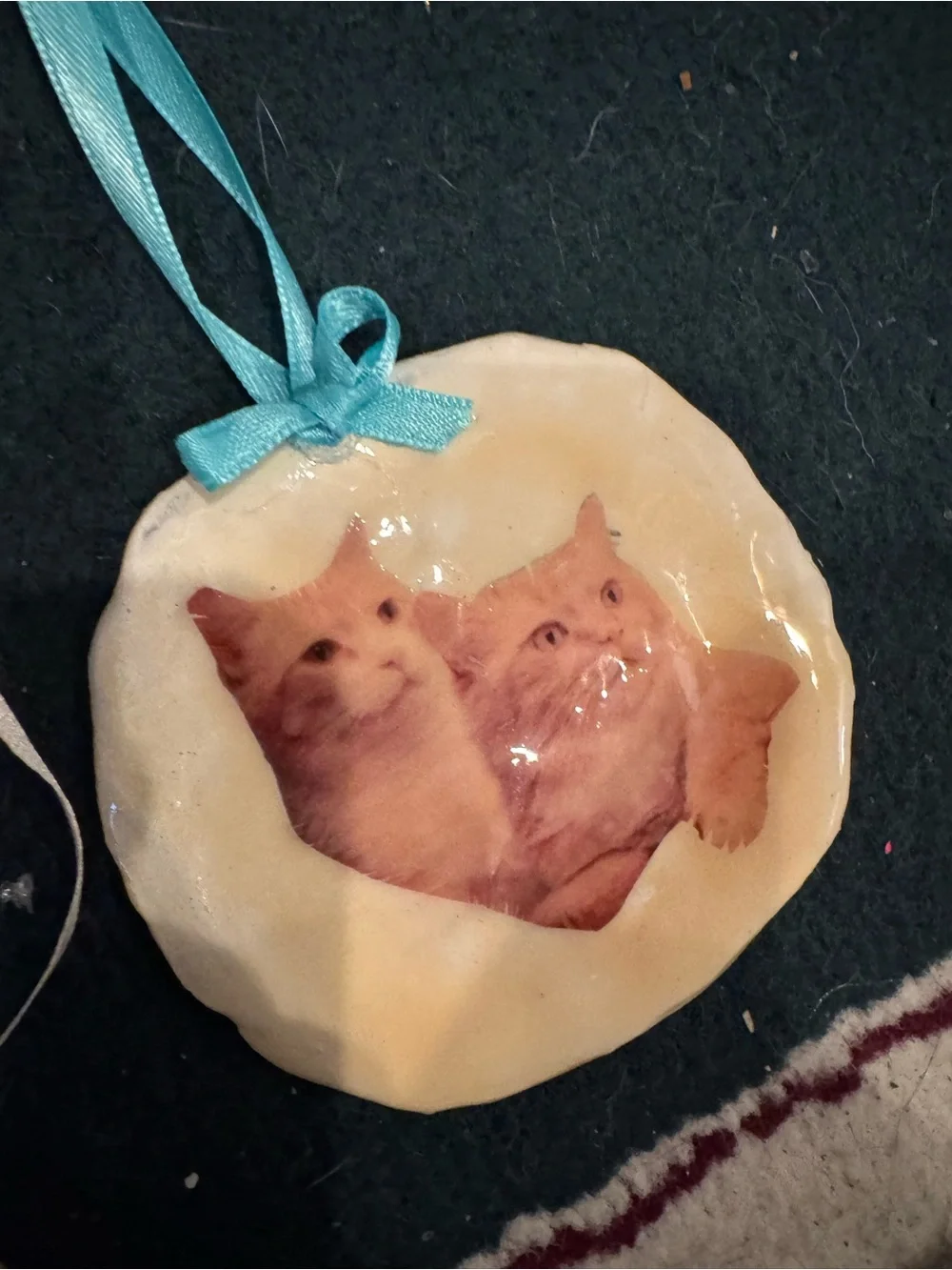 Handmade Cat Photo Ornaments sand dollars real shell- Assorted Cream, White, Tan